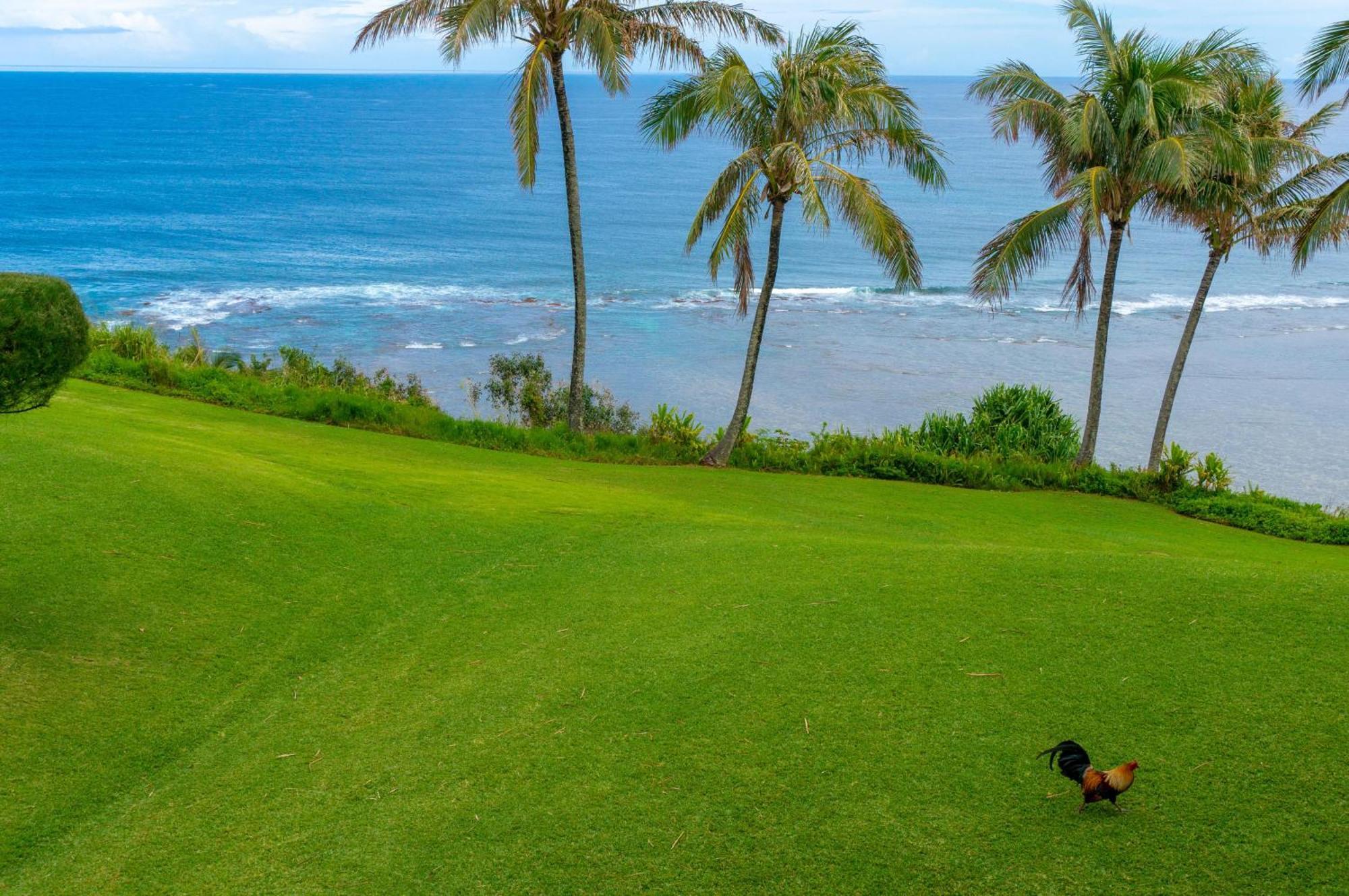 Sealodge J9 Princeville Buitenkant foto